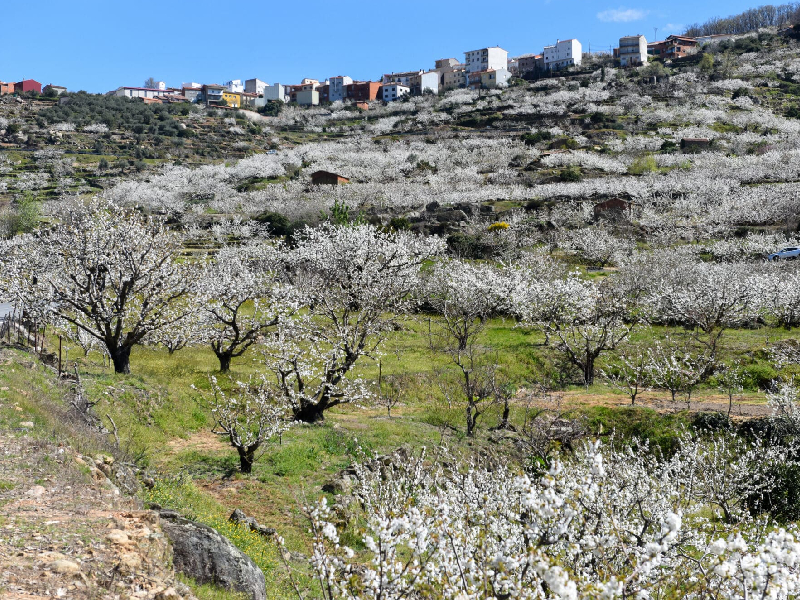 valle