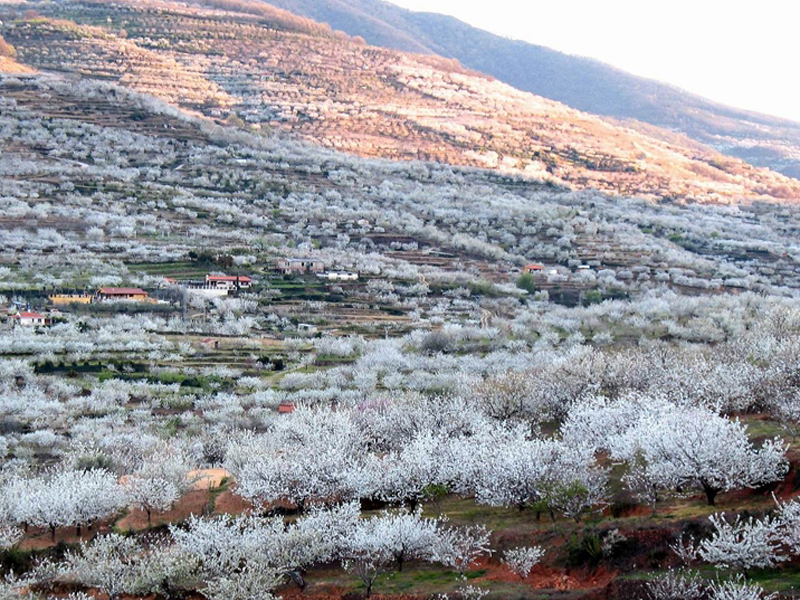 valle4